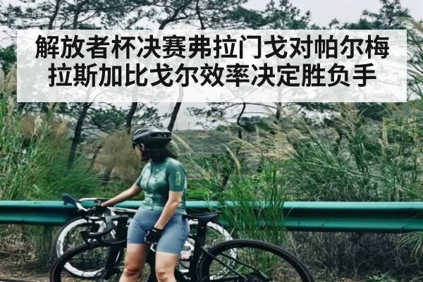 解放者杯决赛弗拉门戈对帕尔梅拉斯加比戈尔效率决定胜负手
